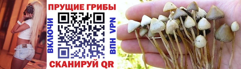 Псилоцибиновые грибы ЛСД  Ясногорск 