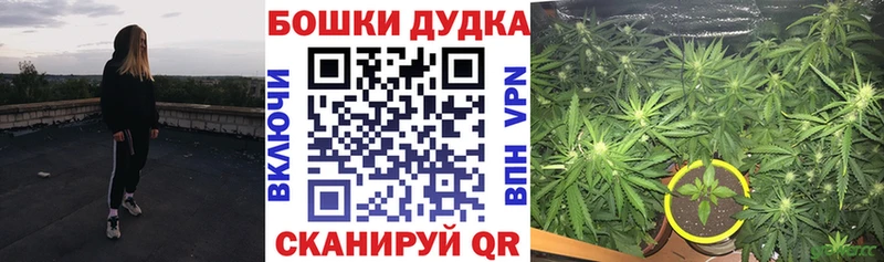 Конопля MAZAR  сколько стоит  Ясногорск 
